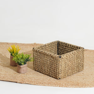 Terra Natural Moonj Grass Boxes