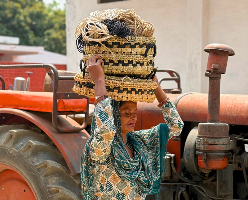 Environmental Impact