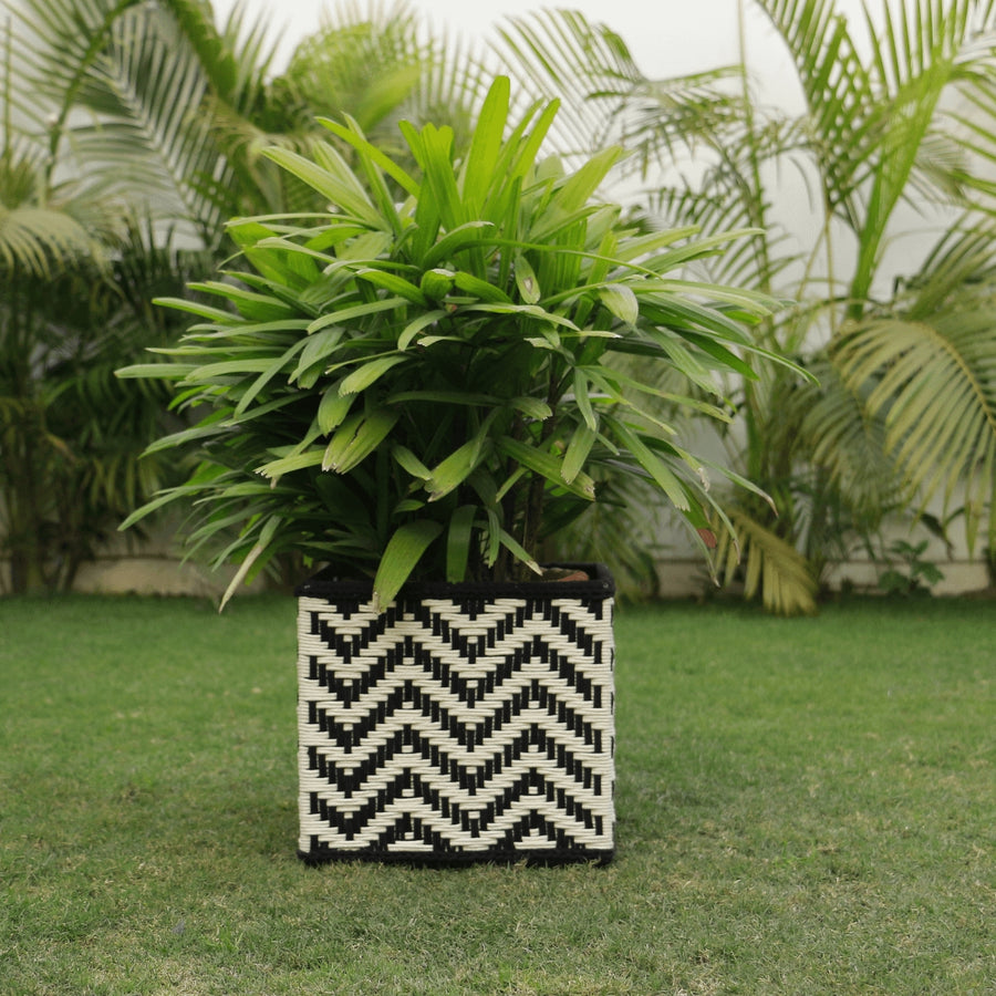 Buy stone planters Online