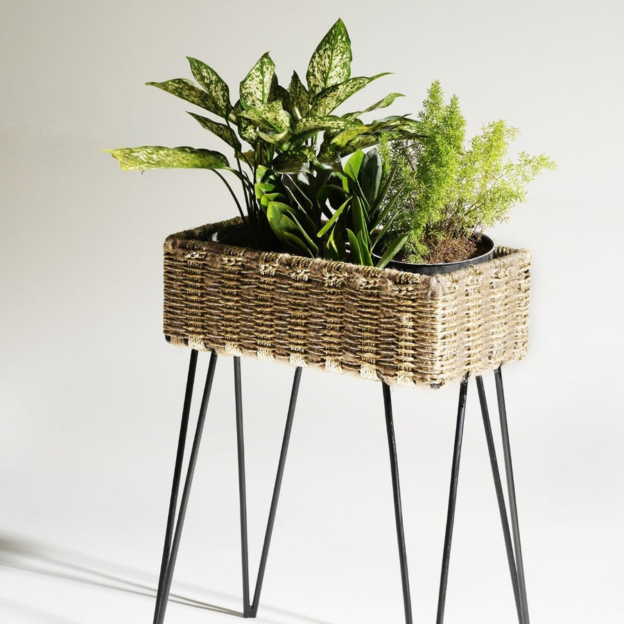 Faye - Contemporary Organizer - Box Stand