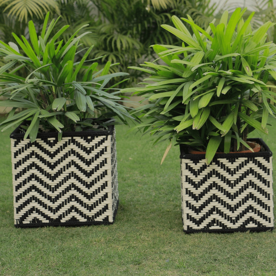 stone planters
