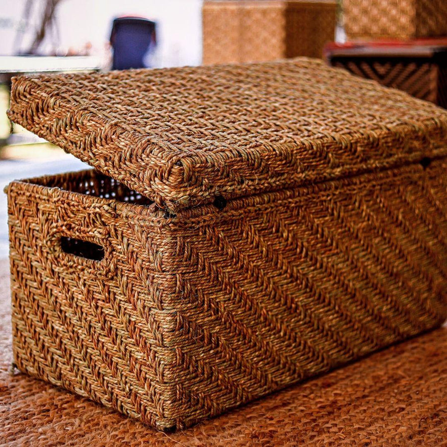 American Bittern Jute Trunk - Sirohi.org - Colour_Gold, Colour_Jute Beige, Purpose_Storage, Rope Material_Natural Jute Fibre