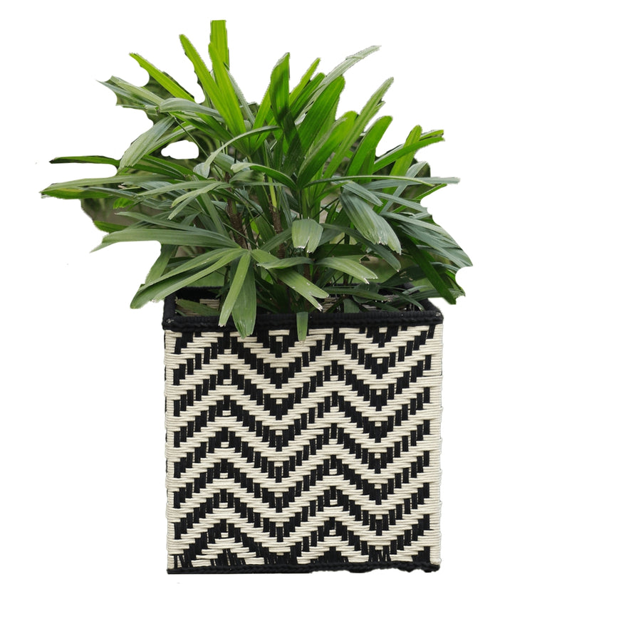 Buy stone planters Online
